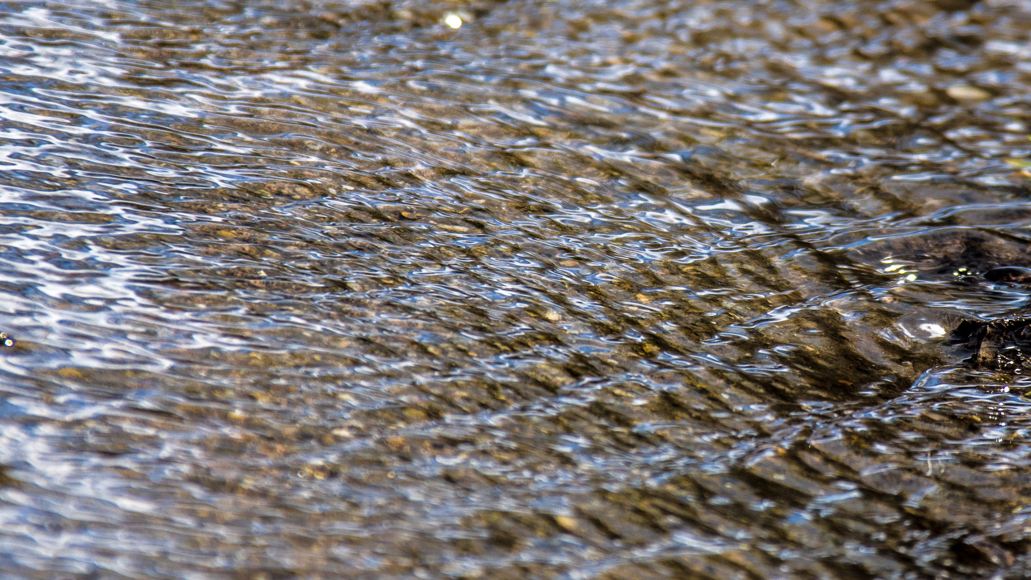 20220409142703 R5D 1312